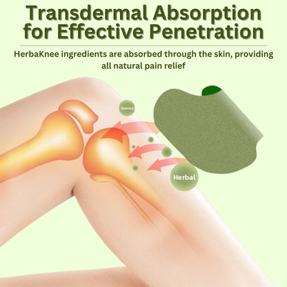 HerbaKnee Pain Relief Patch